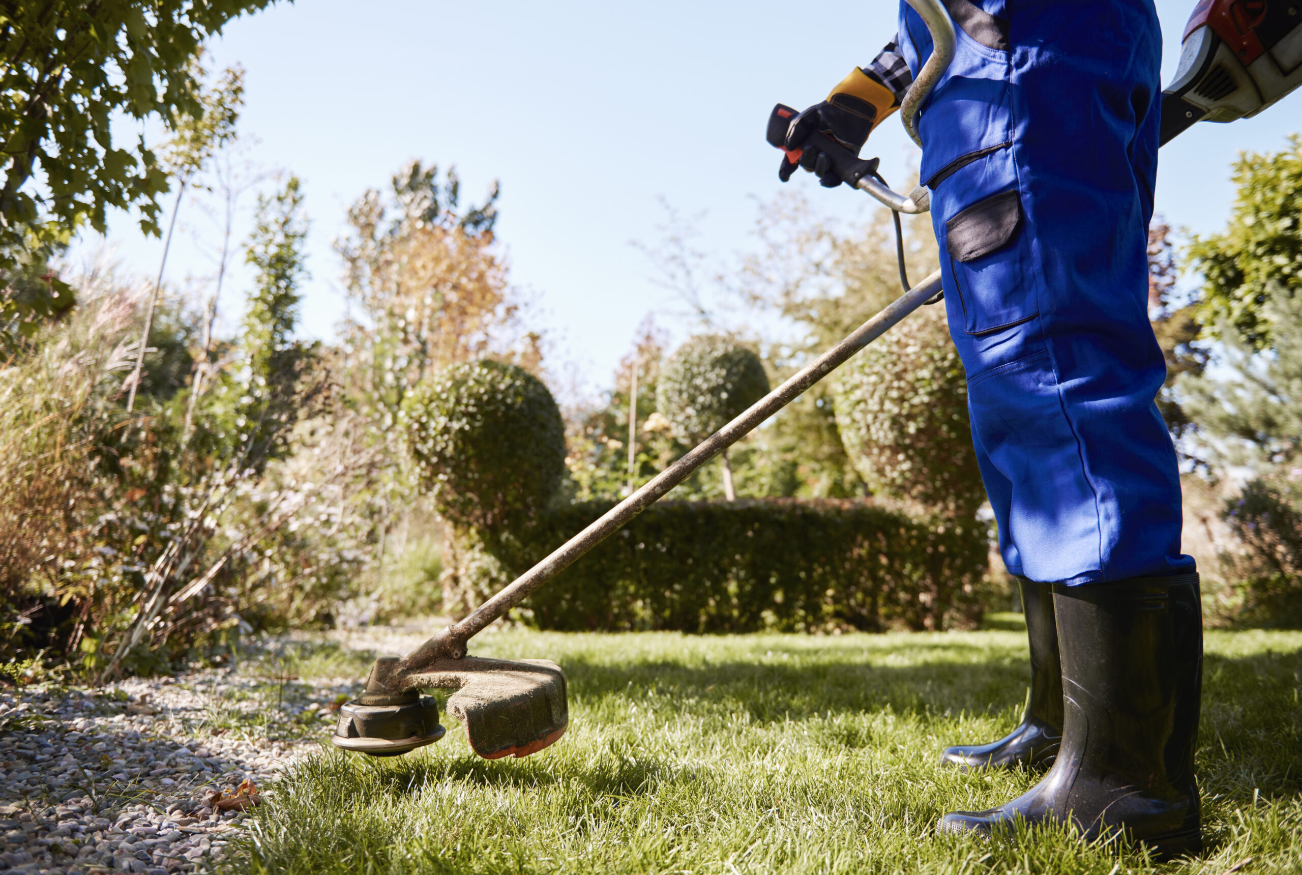 Gardener with weedwacker cutting the grass in the garden